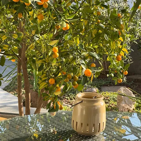 Apartman Verica Vodice