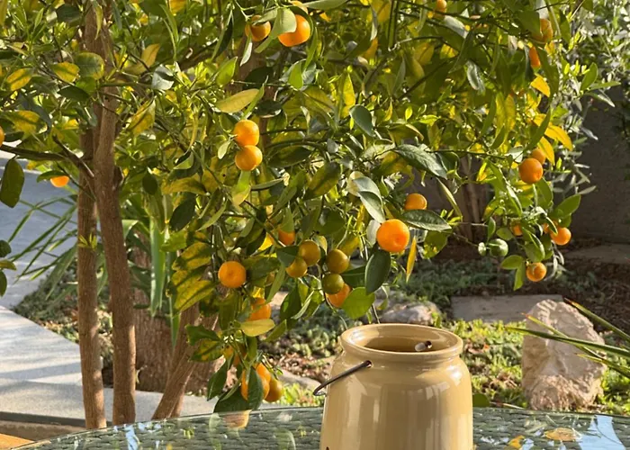 Апартаменты Verica Водице